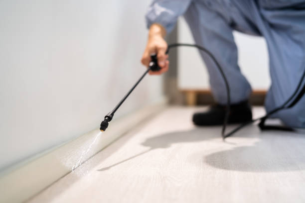 Professional exterminator conducting IPM assessment in Moab