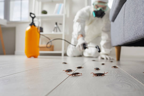 Commercial Rodent Management in Moab